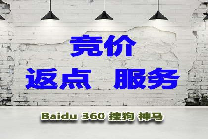 百度竞价排名之成功案例：看广告如何转化为销量